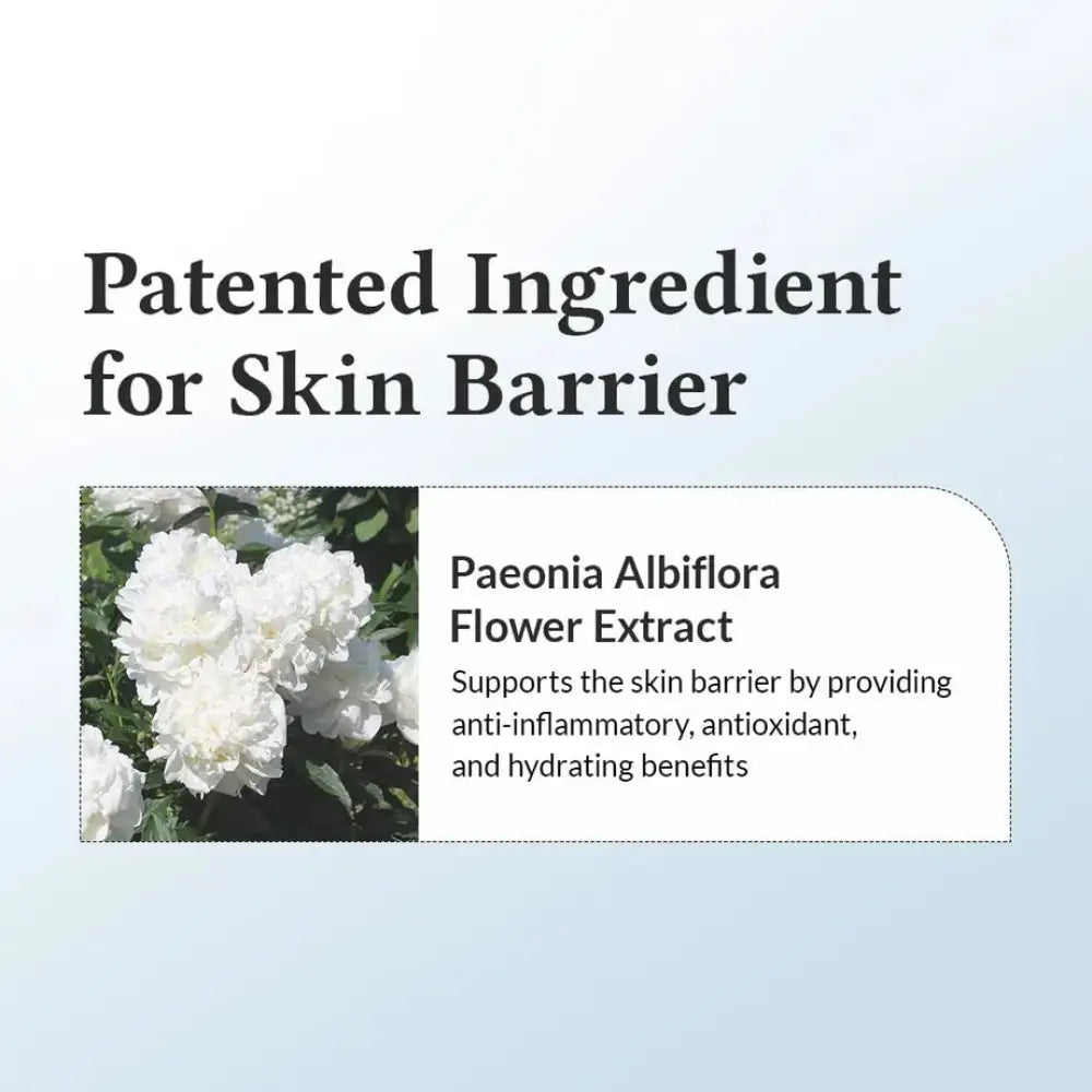 Dr ALTHEA 147 Barrier Cream Daily Skin Barrier Repair Care 50ml masques