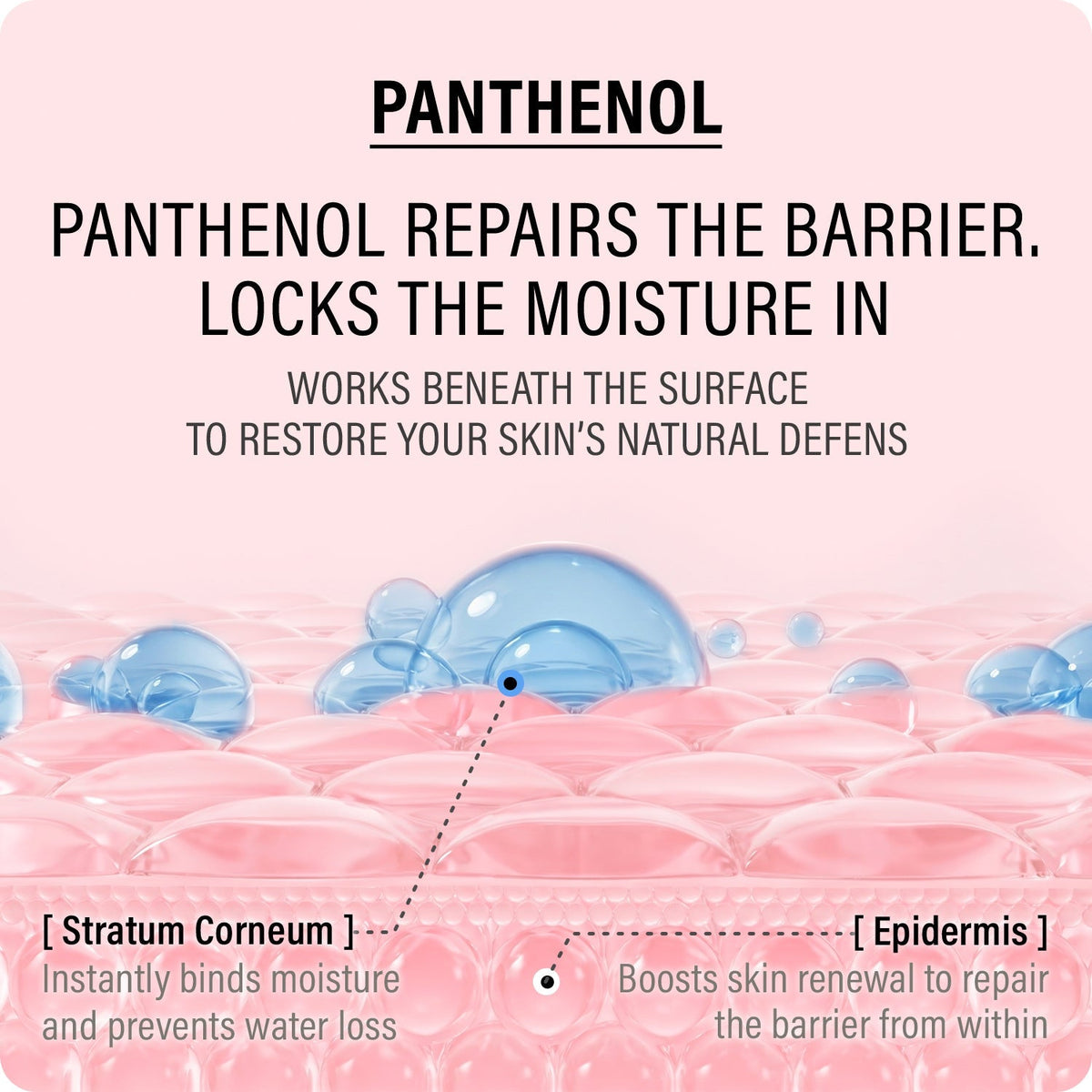 EPII - Double Up Cream ECTOIN & PANTHENOL - 50ml