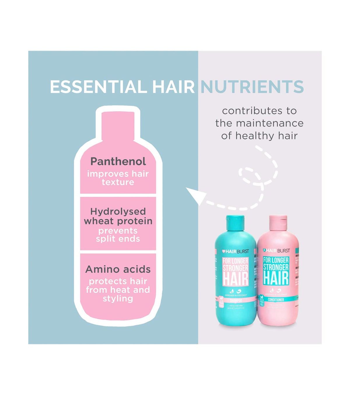 HAIRBURST - Conditioner à l'avocat et Noix de Coco - 350ml