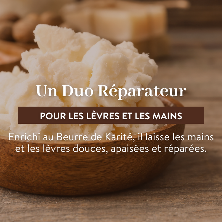 LE PETIT OLIVIER - Baume Lèvres Réparateur Beurre de Karité - 4g