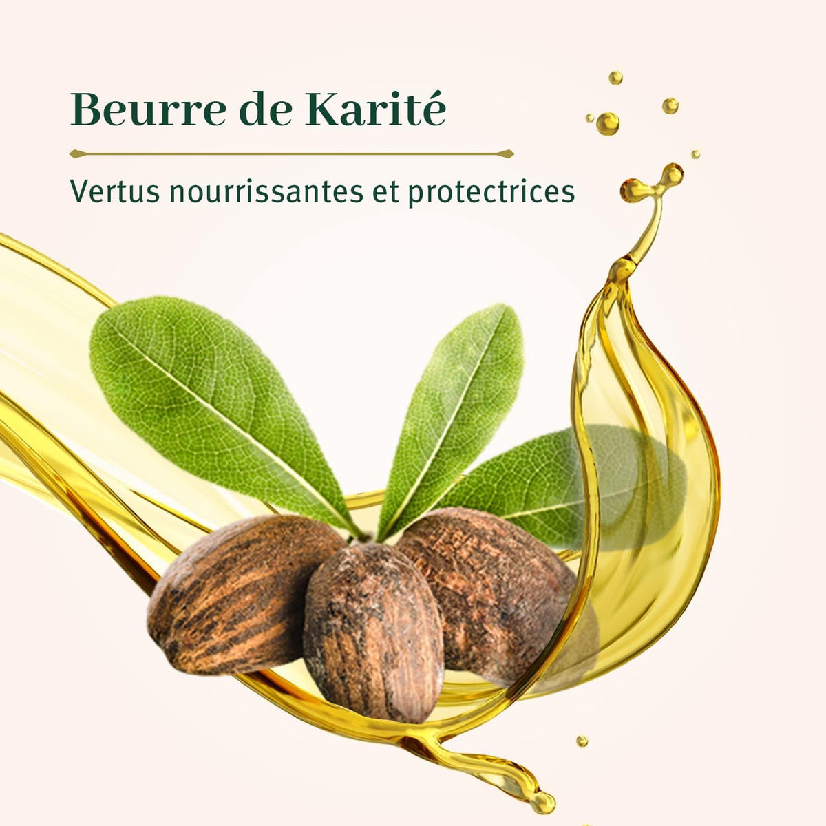 LE PETIT OLIVIER - Lait de Corps Réparateur Beurre de Karité - 250ml