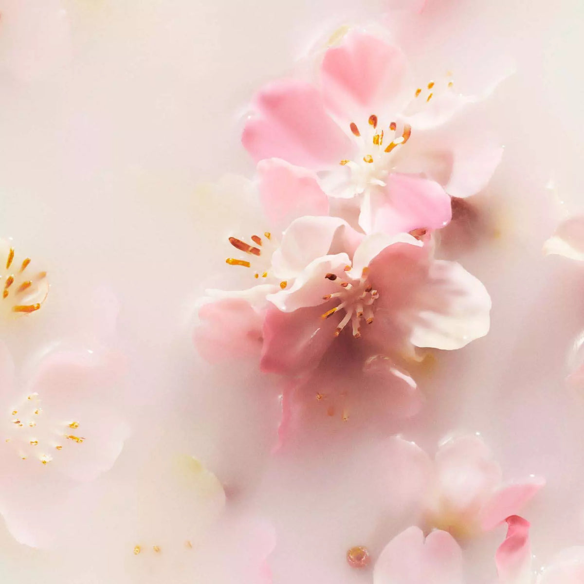 RITUALS - Luxury Car Air Freshener - réf Cherry Blossom & rice milk